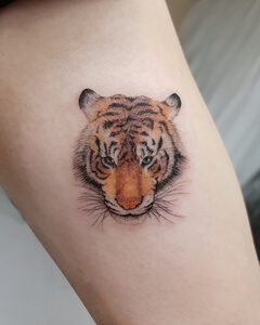 Small colour tiger face tattoo on the arm, Seoul